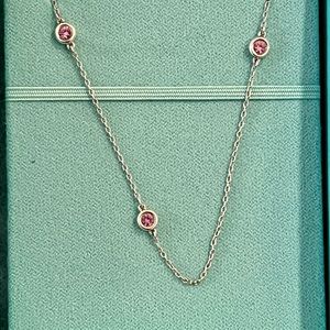Tiffany & Co. Peretti CBTY Necklace